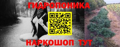 трава Аргун