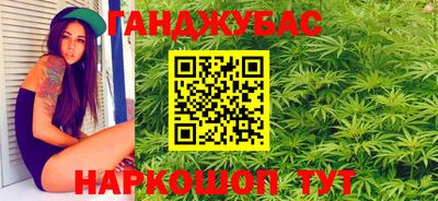 гидра Нальчик