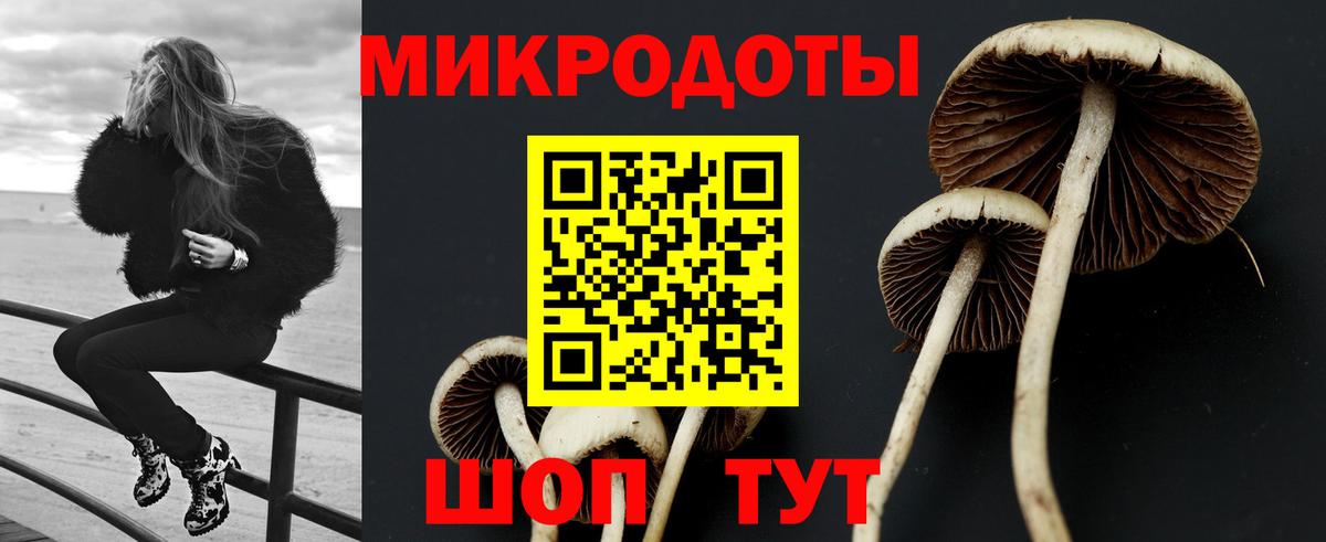 Псилоцибиновые грибы Magic Shrooms  Псилоцибиновые грибы прущие грибы  Ейск  как найти наркотики  Вход с VPN 